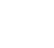 Témoin de pied
        sur la pédale de frein